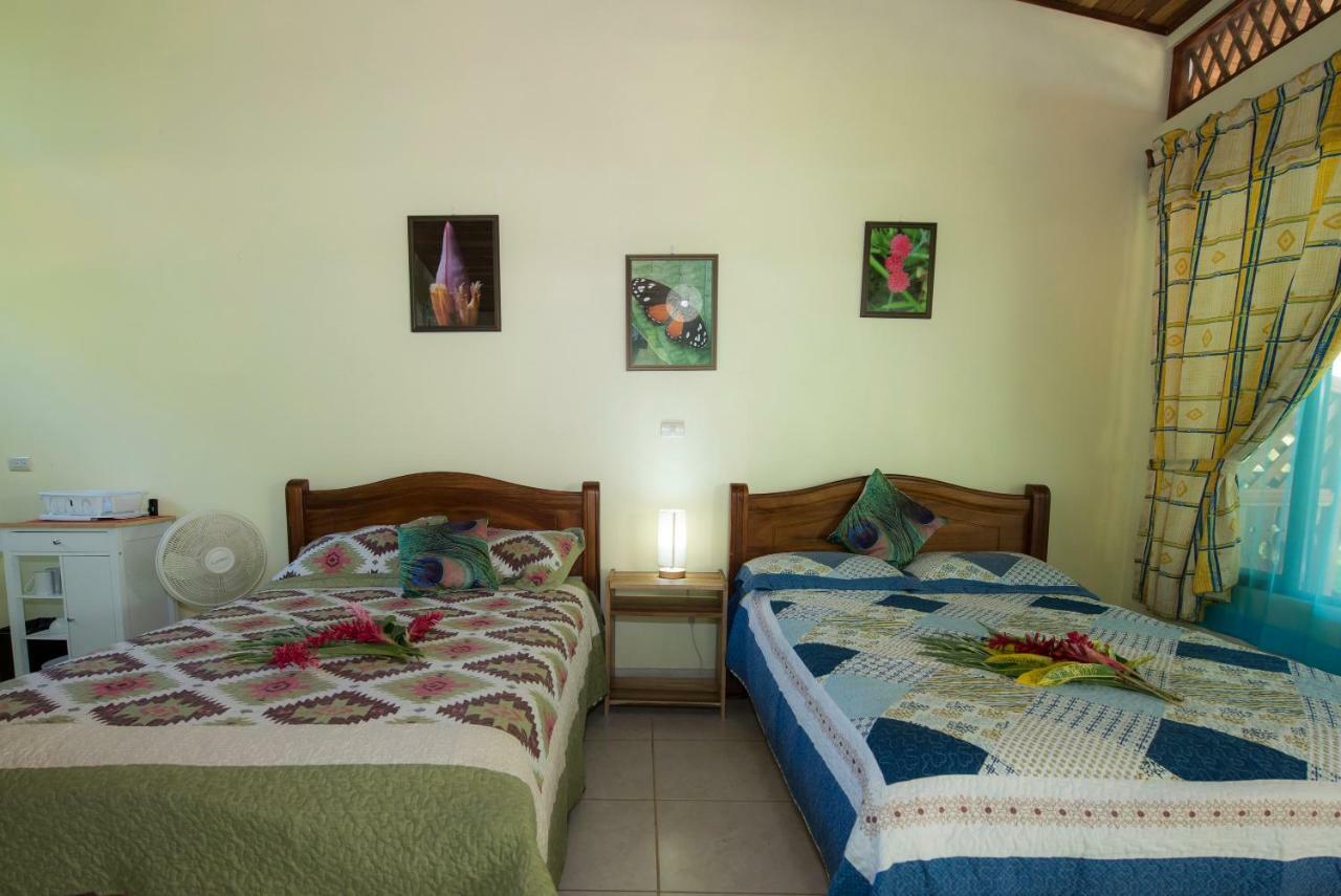 Hotel Sunshine Caribe Puerto Viejo de Talamanca Luaran gambar